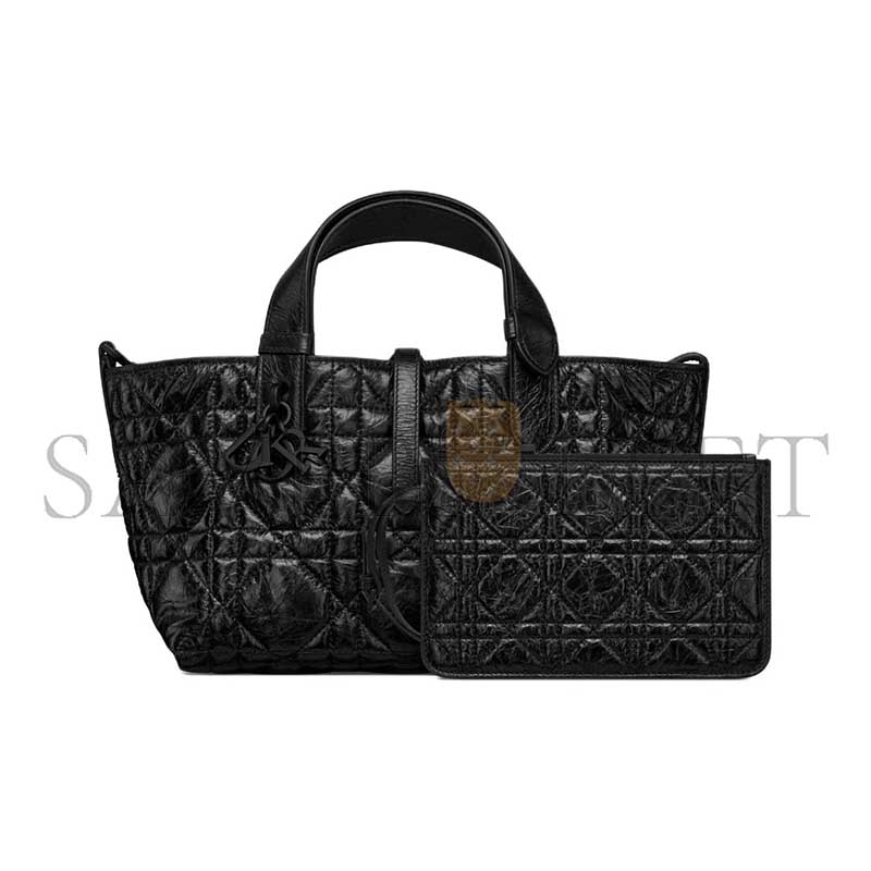 DIOR SMALL DIOR TOUJOURS BAG M2822SNIO-M900 (23*15*12cm)