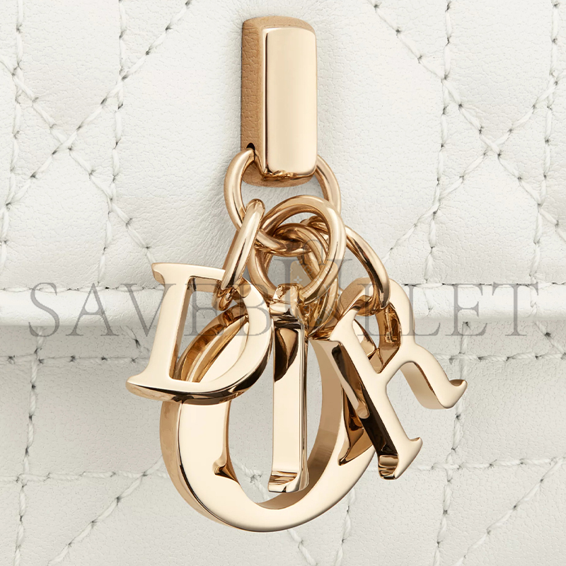 DIOR MY DIOR MINI BAG S0980ONMJ_M030 (21*11*5cm)